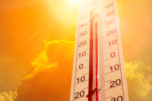 UGT-SP insta a las residencias y centros de día de La Rioja a cumplir los umbrales de temperatura máximos en esta ola de calor