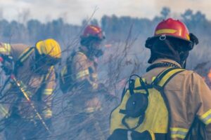 El Gobierno de La Rioja se compromete a cumplir recomendaciones sobre el riesgo por exposición a agentes químicos en los incendios forestales