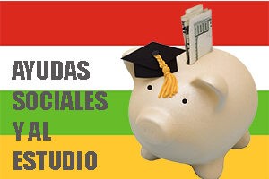 Ayudas Sociales y al Estudio Curso 2016-2017