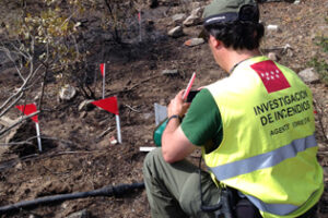 Agentes medioambientales y forestales de UGT investigan las causas de los incencios