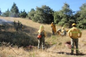 El Comité de Empresa de la CAR denuncia el desinterés de la Administración en solucionar los graves problemas en las intervenciones en incendios forestales