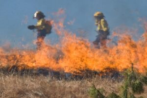 UGT de La Rioja exige que se solucione el problema de transporte de los bomberos forestales