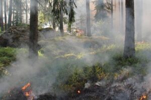 UGT Servicios Públicos La Rioja solicita al Gobierno de La Rioja que los bomberos forestales pasen a situación de alerta los días de altas temperaturas