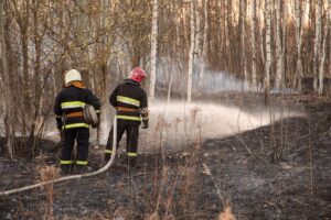 UGT augura otro verano de caos, en caso de incendios forestales, por culpa de la dejadez del Gobierno de La Rioja